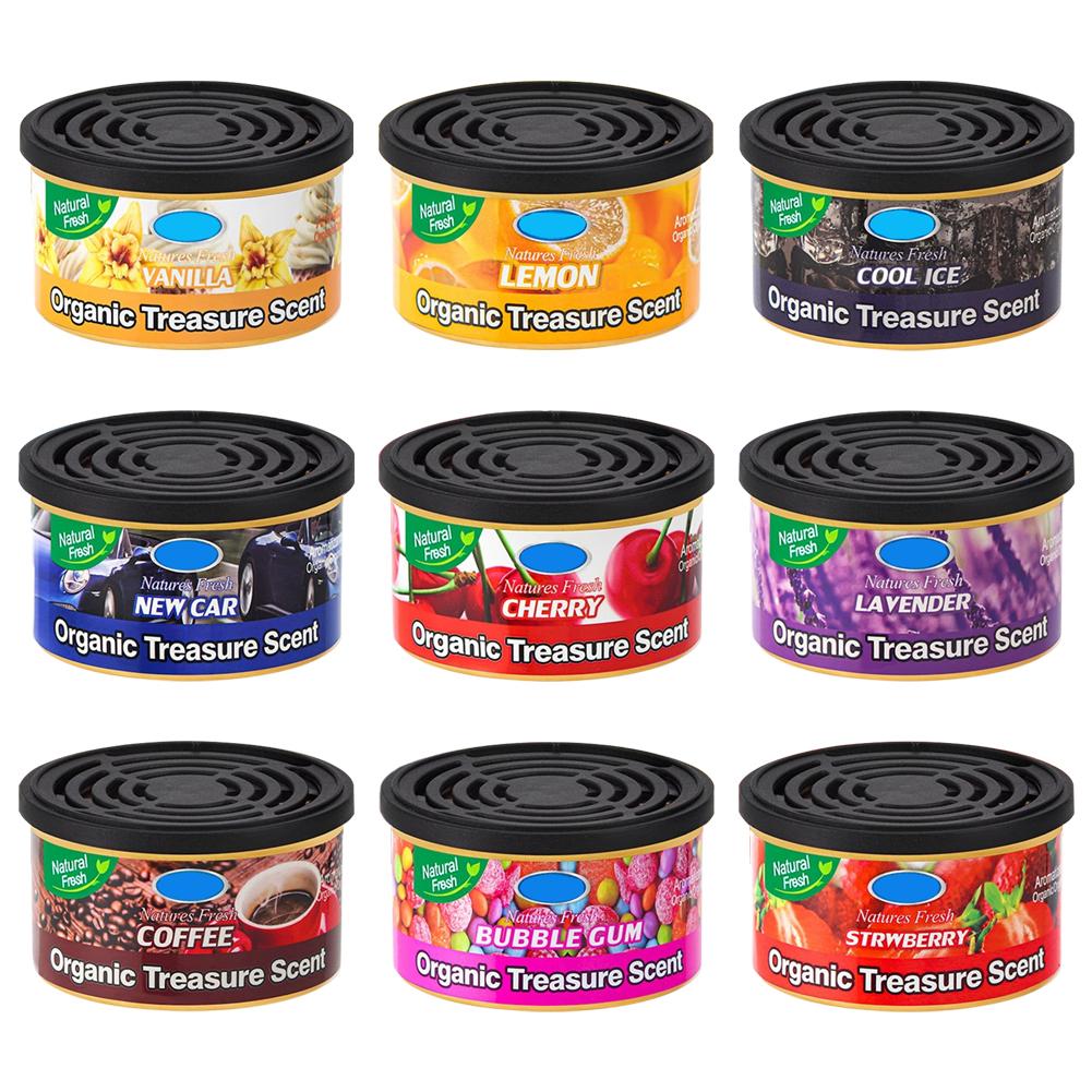 Home Fragrance Non Toxic - Latas de ambientador de carro –